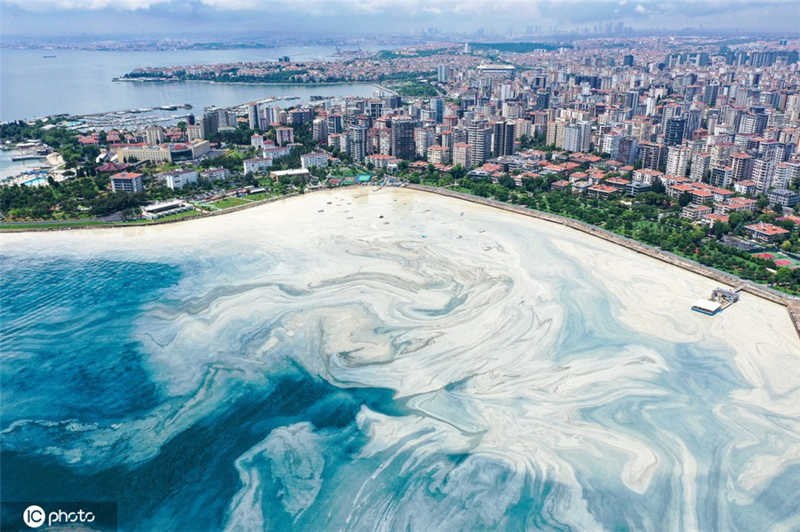 土耳其海岸“海鼻涕”泛濫成災(zāi)