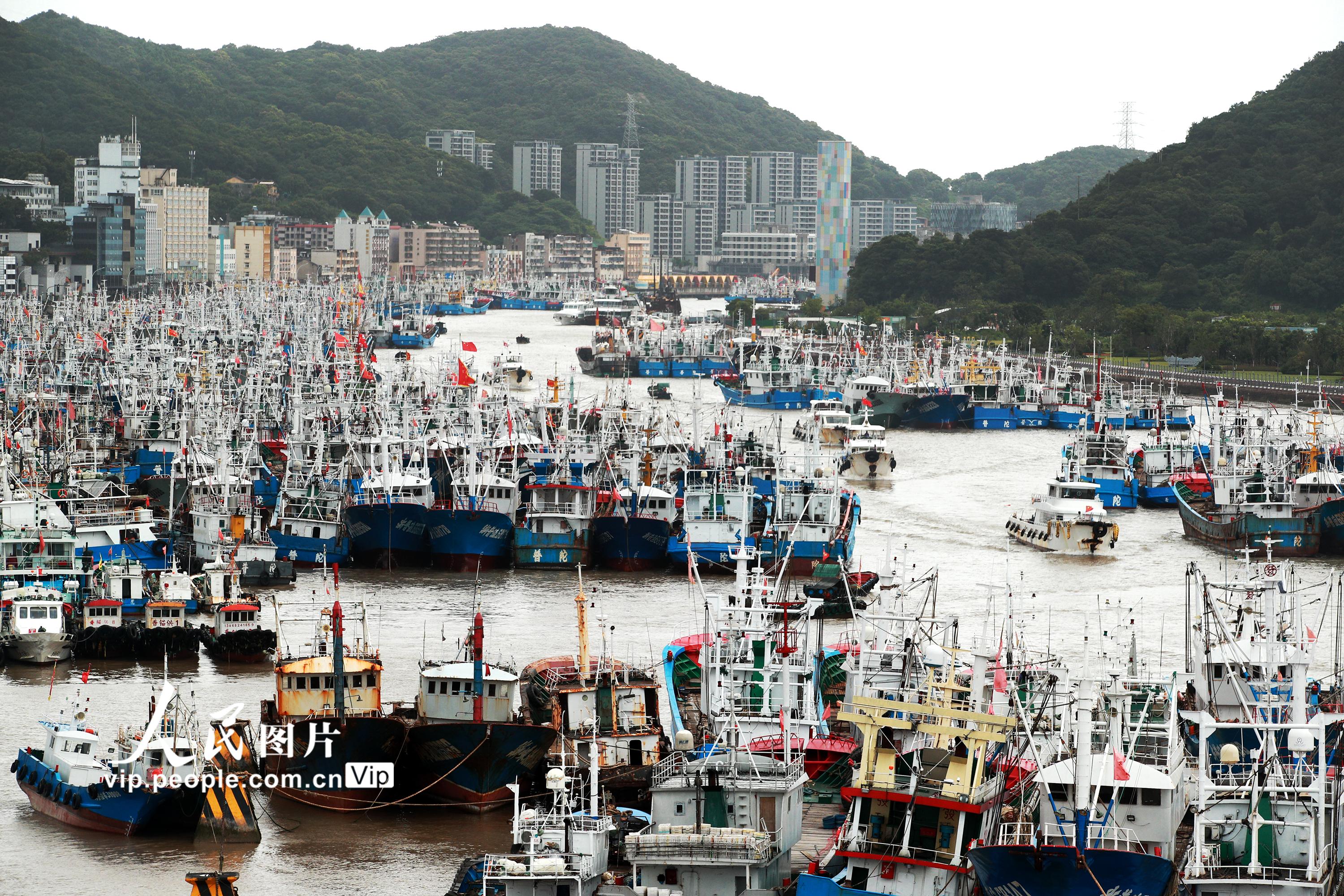 浙江舟山：5500多艘漁船到港避風(fēng)